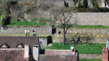 Jardins en terrasse