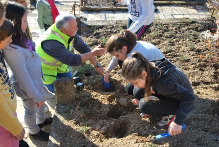 plantation 1 site