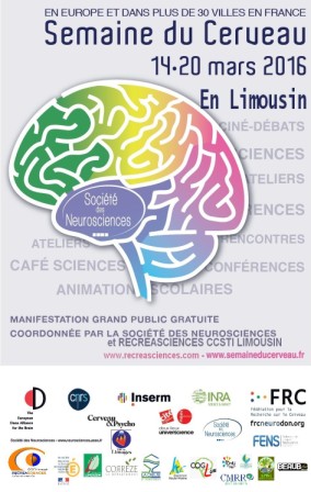 affiche cerveau 2016 LIMOUSIN finale