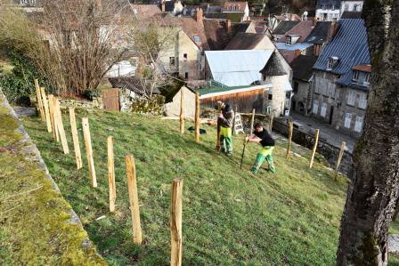 plantage des poteaux tuteurs