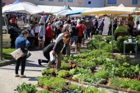 marché 3 pour site