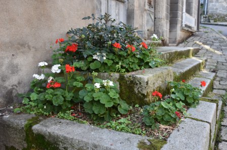 A la terrade les plants sont à l'ombre