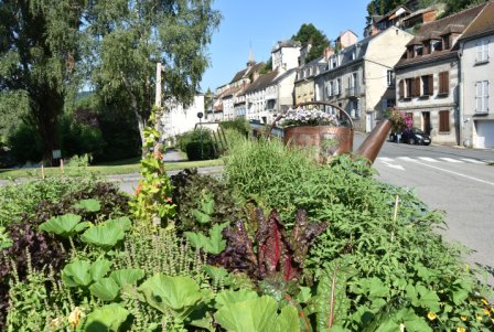 Légumes et fleurs