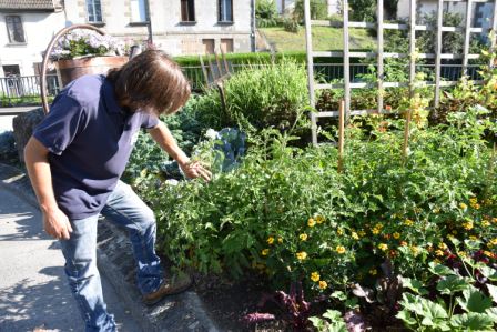 Le jardin potager avec JB