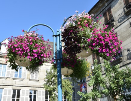 Place de la Libération jardinières suspendues