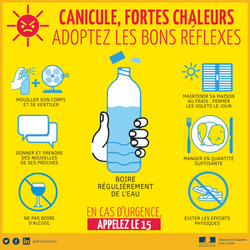 canicule-reflexes